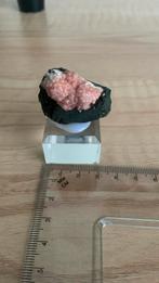 Rhodochrosiet op matrix, Verzamelen, Mineralen en Fossielen, Ophalen of Verzenden, Mineraal