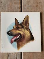 Tegeltje hond / herdershond. Mosa nederland wandtegeltje., Ophalen