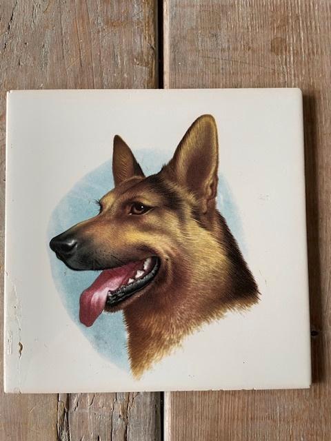 Tegeltje hond / herdershond. Mosa nederland wandtegeltje., Antiek en Kunst, Antiek | Wandborden en Tegels, Ophalen