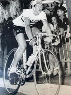 FEDOR DEN HERTOG  932e  ZEGE  tijdens KLEINE TOUR 1973, Ophalen of Verzenden, Zo goed als nieuw, Overige sporten, Overige typen