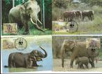 Olifanten Shri Lanka wwf wnf 1985 bedreigde diersoorten maxi, Postzegels en Munten, Ophalen of Verzenden, Postfris, Dier of Natuur