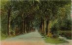 Assen. Rode Heklaan Stadsbos, Ophalen of Verzenden, Gelopen, Drenthe