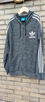 Adidas vest / hoodie. Antraciet grijs, witte strepen.
Maat M, Maat 48/50 (M), Ophalen of Verzenden, Zo goed als nieuw, Adidas