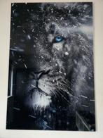 Glazen Schilderij Leeuw - 90x60cm ZGAN, Ophalen of Verzenden, Zo goed als nieuw, Schilderij, 75 cm of meer