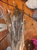 Een hoop pauwenveren, Huis en Inrichting, Woonaccessoires | Droogbloemen, Ophalen