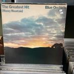 Blue Orchids - The Greatest Hit, Ophalen of Verzenden, Gebruikt, 12 inch, Alternative
