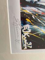 E.J. Kremer Litho Arie Luyendyk Indy 500 Gesigneerd, Ophalen