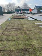 Sedum matten en trays - grote voorraad!, Ophalen of Verzenden, Nieuw, 20 m² of meer, Gras