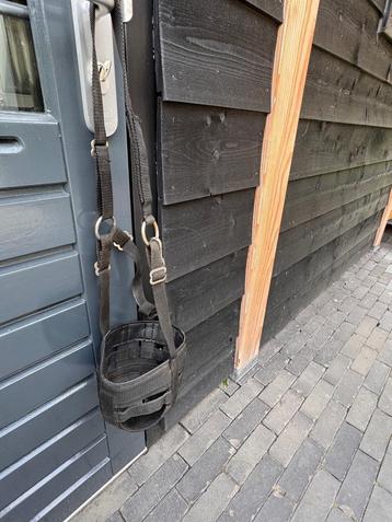Harry's Horse Graasmasker  beschikbaar voor biedingen