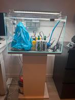 Aquarim met standaard!!, Dieren en Toebehoren, Vissen | Aquaria en Toebehoren, Ophalen, Zo goed als nieuw