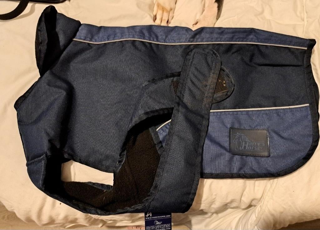 Hondenjas gevoerd maat 50, Ophalen of Verzenden, Hondenjas