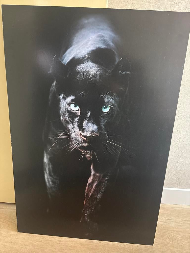 Poster op hout Zwarte Panter, Huis en Inrichting, Woonaccessoires | Schilderijen, Tekeningen en Foto's, Ophalen, Zo goed als nieuw