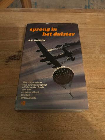 Sprong in het duister - S.E. Hanson beschikbaar voor biedingen