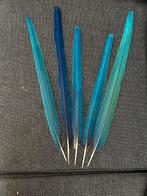 Ara staartveren, Verzenden