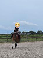 Paard te koop, Dieren en Toebehoren, Paarden, Merrie, Gechipt, Zadelmak, 11 jaar of ouder