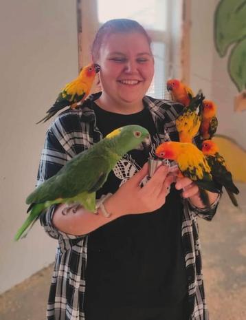 uw kinderen zelf de papegaai laten uitzoeken , kom langs beschikbaar voor biedingen