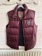 Heren stoere warme bodywarmer, Ophalen of Verzenden, Zo goed als nieuw, Maat 52/54 (L)