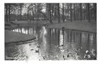 960783	Driebergen	Park 	Wildbaan	 _Mooie zegel. Niet gestemp, Verzamelen, Ansichtkaarten | Nederland, Gelopen, Utrecht, 1960 tot 1980