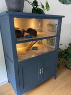 Caviakast, Dieren en Toebehoren, Knaagdieren en Konijnen | Hokken en Kooien, Ophalen, Zo goed als nieuw, 90 cm of meer, Hok