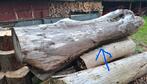 Boomstammen - Zelf zagen & ophalen, Tuin en Terras, Haardhout, Minder dan 3 m³, Ophalen, Overige houtsoorten, Stammen