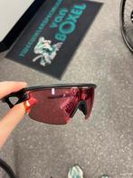 Oakley Sphaera Matte Grey Smoke - Prizm Trail Torch, Zonnebril, -, Zwart, -