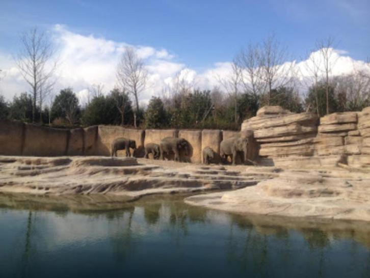 € 4,00 korting pp WILDLANDS Adventure Zoo Emmen (max 5 pers), Tickets en Kaartjes, Recreatie | Dierentuinen, Drie personen of meer