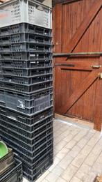 Euro Kratten, Stapelbare Kratten, MEGA KOOPJE, Doe-het-zelf en Verbouw, Kratten en Dozen, Ophalen, 40 tot 60 cm, 50 tot 75 cm