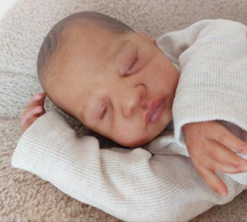 Reborn Lane beschikbaar voor biedingen