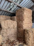 Grote balen hooi, Dieren en Toebehoren, Dierenvoeding, Ophalen, Vee