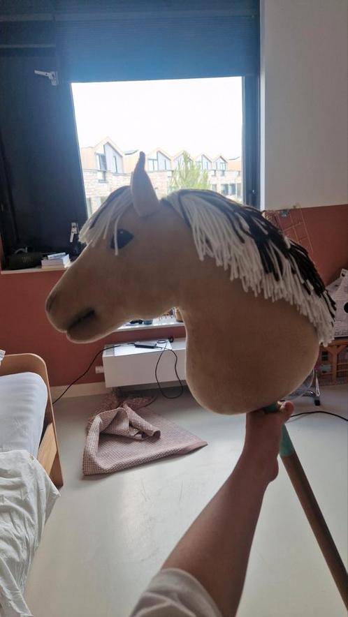 Hobbyhorse fjord tekoop! ZSM WEG!!!, Hobby en Vrije tijd, Overige Hobby en Vrije tijd, Ophalen of Verzenden