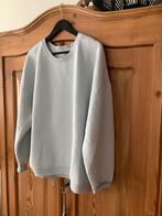 American Vintage ijsblauwe sweater, Kleding | Dames, Truien en Vesten, Ophalen of Verzenden, Zo goed als nieuw, Maat 38/40 (M)