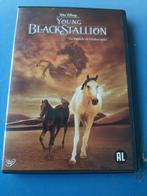 Dvd Young Black Stallion Walt Disney NLO, Cd's en Dvd's, Dvd's | Avontuur, Alle leeftijden, Ophalen of Verzenden, Zo goed als nieuw