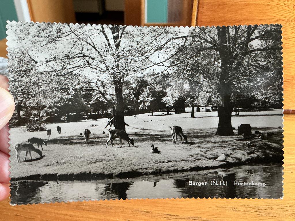 Hertenkamp Bergen, Ophalen of Verzenden, 1960 tot 1980, Gelopen, Noord-Holland
