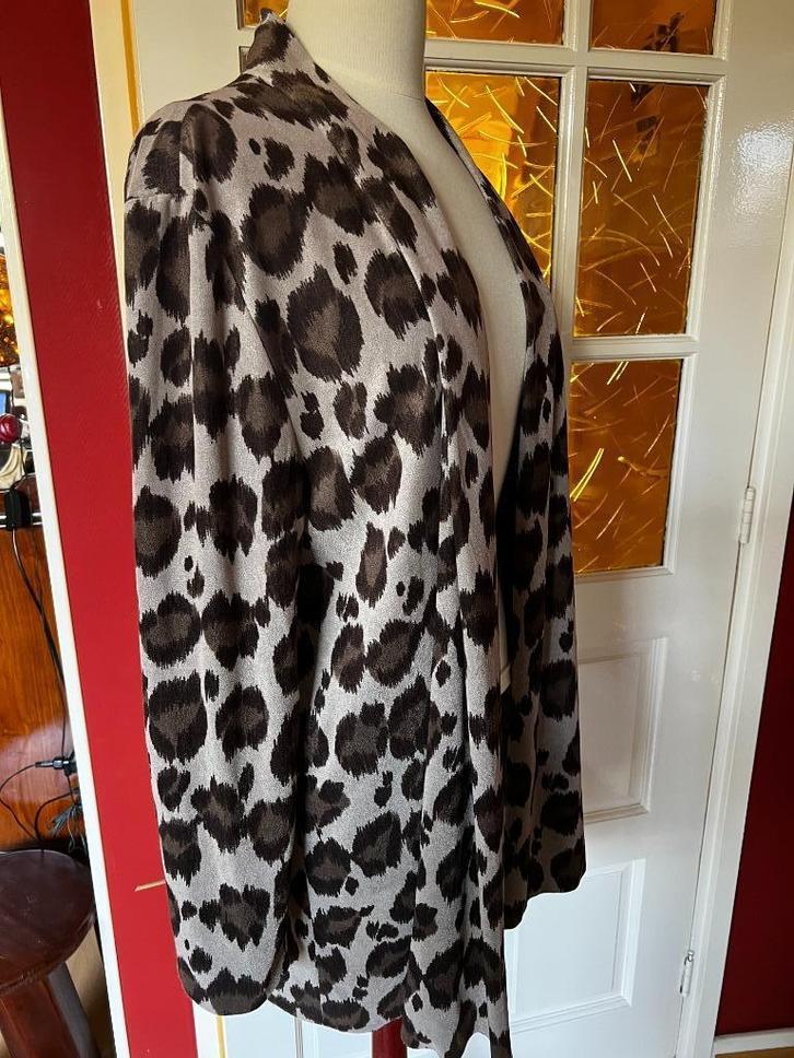 vest in panterprint, Kleding | Dames, Truien en Vesten, Zo goed als nieuw, Maat 38/40 (M), Bruin, Ophalen