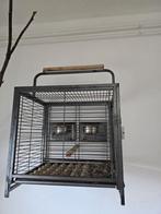 papagaai  Transport cage, Dieren en Toebehoren, Vogels | Hokken en Kooien, Ophalen, Zo goed als nieuw, Metaal, Vogelkooi