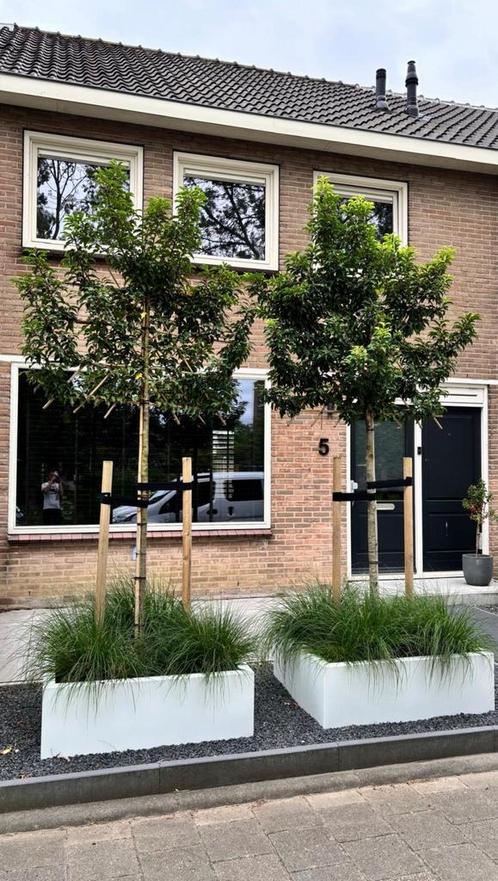 Metalen plantenbakken van Micto, Tuin en Terras, Bloembakken en Plantenbakken, Nieuw, Metaal, Tuin, 30 tot 60 cm, 100 cm of meer