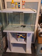 Grote aquarium, Ophalen of Verzenden, Leeg aquarium