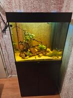 Aquarium Juwel Lido 120 + kast, led lampen,zwart, toebehoren, Dieren en Toebehoren, Vissen | Aquaria en Toebehoren, Ophalen, Zo goed als nieuw
