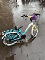 Meisjesfiets lichtblauw met bagagedrager, Fietsen en Brommers, Fietsen | Meisjes, Ophalen, Gebruikt, 20 inch, Handrem