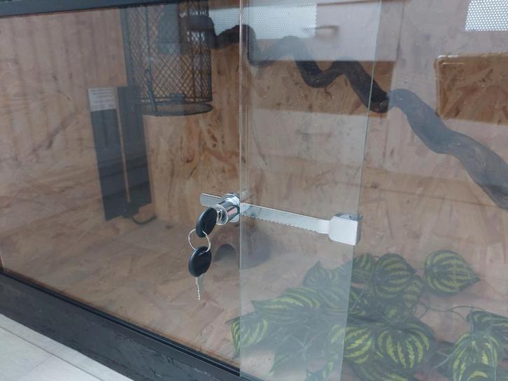 TE KOOP NIEUWE OSB 3 TERRARIUM REPTIELEN, Dieren en Toebehoren, Reptielen en Amfibieën | Toebehoren, Nieuw, Terrarium of Paludarium