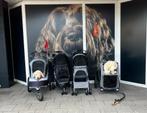 Diverse buggy’s en hondenfietskarren op voorraad, Ophalen, Nieuw