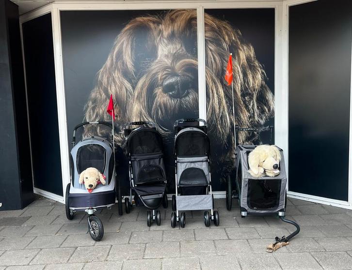 Diverse buggy’s en hondenfietskarren op voorraad, Dieren en Toebehoren, Honden-accessoires, Nieuw, Ophalen