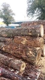 populieren stammen, Tuin en Terras, Haardhout, Ophalen of Verzenden