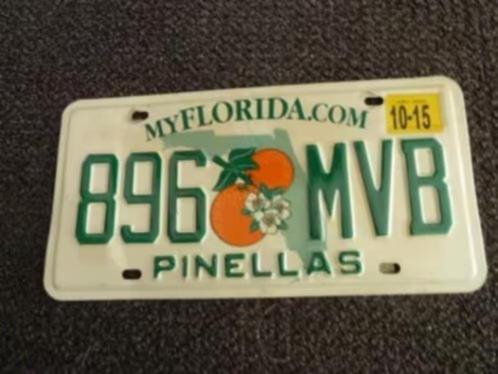 Kentekenplaat licenseplate Florida Pinellas USA, Verzamelen, Automerken, Motoren en Formule 1, Gebruikt, Auto's, Verzenden