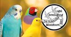 Vooraanmelding regio vogeltentoonstelling Montfoort 2025, Dieren en Toebehoren, Meerdere dieren