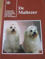 De maltezer - geschiedenis - aanschaf - verzorging, Verzenden, Zo goed als nieuw, Honden
