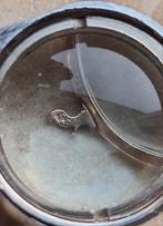 14k gouden knijpbril, Verzenden, Goud