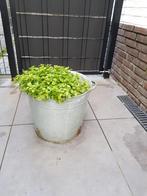 Zinken bloempot, Tuin en Terras, Bloempotten, Overige materialen, Rond, Ophalen of Verzenden, Zo goed als nieuw