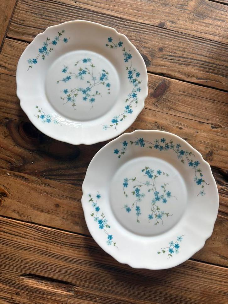 Arcopal Veronica/Myosotis grote borden – 2 stuks, Antiek en Kunst, Antiek | Servies compleet, Ophalen of Verzenden