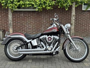 Harley davidson  Softail custom beschikbaar voor biedingen